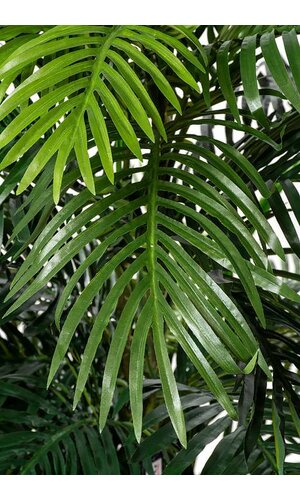 6FT POTTED ARECA PALM TREE GREEN/TWO TONE