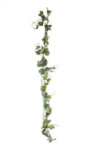 6FT CAMBRIDGE IVY GARLAND TWO TONE GREEN