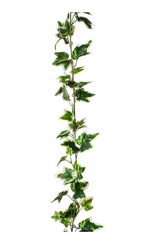6FT GREEN HOLLAND IVY GARLAND w/116 LEAVES
