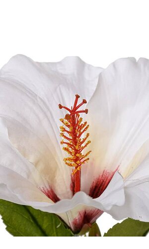 26" Silk Hibiscus Spray White/beauty