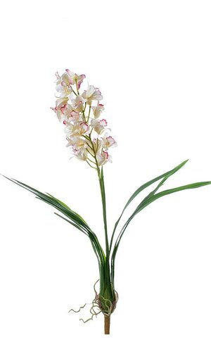 36" ORCHID CATTLEYA PLANT WHITE