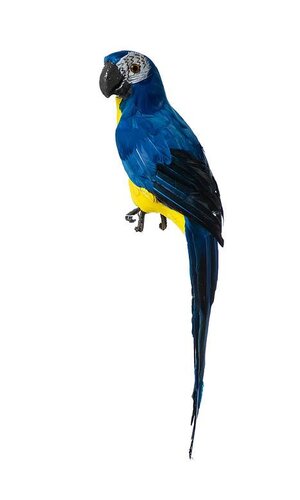 17.5" STANDING PARROT ROYAL BLUE/YELLOW