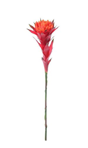 37" AFRICAN BROMELIAD SPRAY FLAME RED