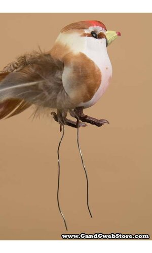 3.5" FEATHER BIRD ASSORT PKG/18