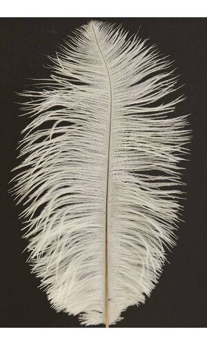 12"-14" OSTRICH FEATHER NATURAL WHITE PKG/12