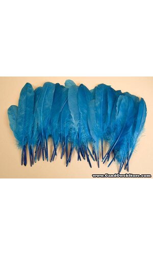 6"- 8" GOOSE FEATHER TURQUOISE PKG/50