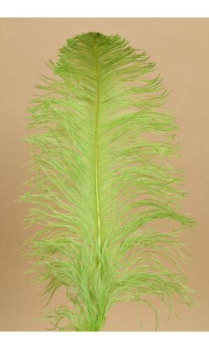 18"- 22" SINGLE OSTRICH FEATHER LIME GREEN