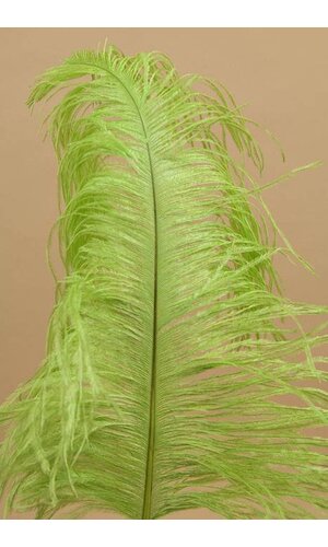 14"-16" OSTRICH FEATHER LIME PKG/12