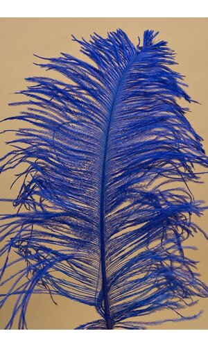 14"-16" SINGLE OSTRICH FEATHER ROYAL BLUE