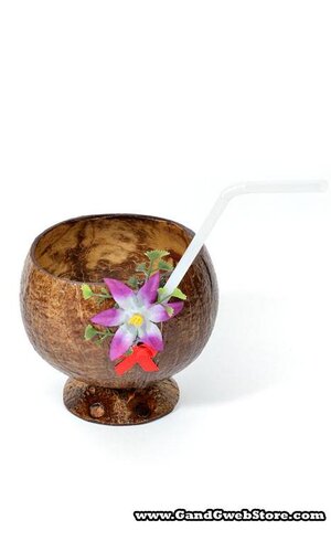 10OZ COCONUT CUP W/STRAW NATURAL