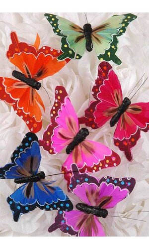 3" FEATHER BUTTERFLY ASSORTED PKG/12