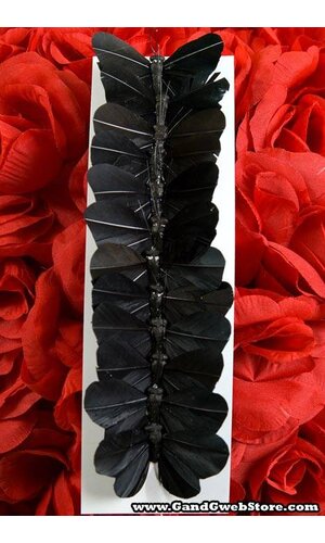 3" BUTTERFLY ASSORTED PURE BLACK PKG/12