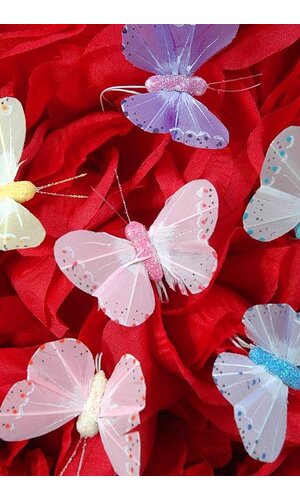 2" PASTEL BUTTERFLY ASSORTED PKG/12