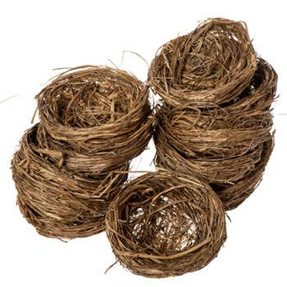 Dried Materials