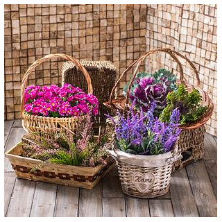 Baskets