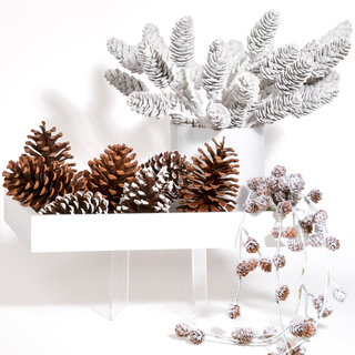 Pine Cones