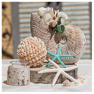 Shells