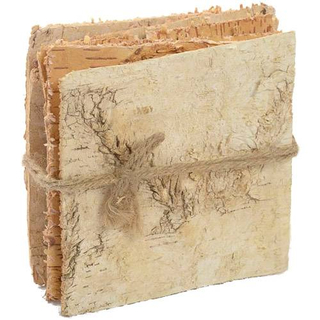 Birch Items