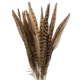 Feathers