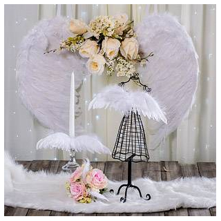 Angel & Fairy Wings