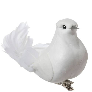 Doves