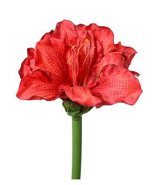 Amaryllis silk flowers