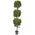 5FT TRIPLE BALL BOXWOOD TOPIARY TREE IN POT GREEN