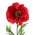 28" SILK POPPY SPRAY RED