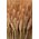 16.5" PRESSED WHEAT STAND BOUQUET NATURAL