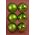 100MM SHINY/MATT PLASTIC BALL APPLE GREEN PKG/6