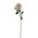 21.5" ROSE SPRAY EGG SHELL
