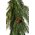 48" JUST CUT PLAS WOODLAND PINES GARLAND NATURAL/FROSTED