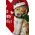 3" RSN HAPPY DOG ORNAMENT RED/GREEN