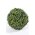 8.5" BOXWOOD BALL GREEN
