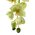 45" PHALAENOPSIS ORCHID SPRAY GREEN/CREAM