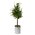 46" GALVANIZE POTTED STANDARD CEDAR TREE NATURAL/GREEN