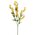 19" SILK DOUBLE BABY BREATH GOLD PKG/6