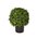 16" Boxwood Ball w/ Topiary Pot Green