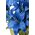 18" SILK TIGER LILY BUSH X11 ROYAL BLUE