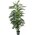 6FT POTTED ARECA PALM TREE GREEN/TWO TONE
