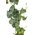 6FT CAMBRIDGE IVY GARLAND TWO TONE GREEN