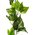 6FT GREEN POTHO GARLAND w/116 LEAVES