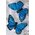 2" FEATHER BUTTERFLY BLUE PKG/12