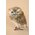 6.5" STANDING SPECKLED HOOT OWL