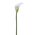 19" ARTIFICIAL CALLA LILY CREAM