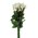 PLANTERS ROSE BUD CANDLE WHITE PKG/12