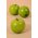 3" WEIGHTED APPLE GREEN PKG/6