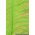 12" - 14" OSTRICH FEATHER LIME PKG/12