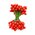 7MM HOLLY BERRIES RED PKG/144