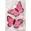 3" PRINTED BUTTERFLY PINK PKG/12